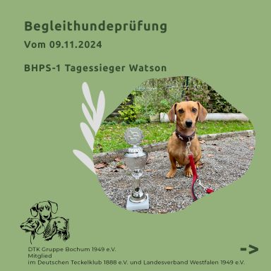 BHP Tagessieger Watson