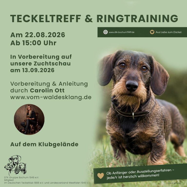 Teckeltreff und Ringtraining
